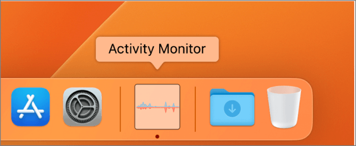 launch Acitivity Monitor on Mac