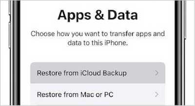 Restore from iCloud Backup