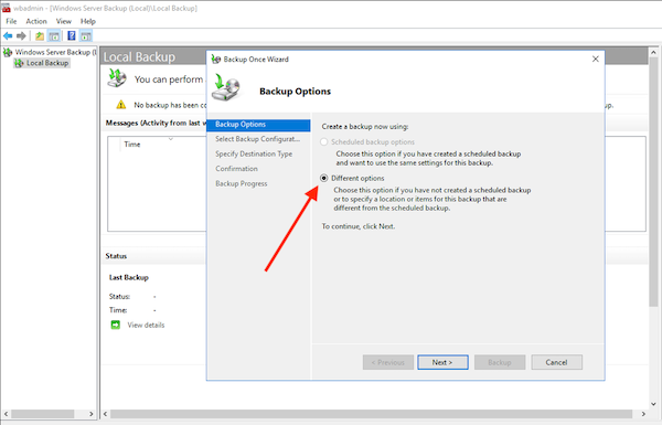 Selecting Different options to create the backup of the server