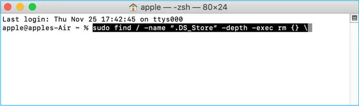 Paste the terminal command to delete the .DS_Store Files on Mac