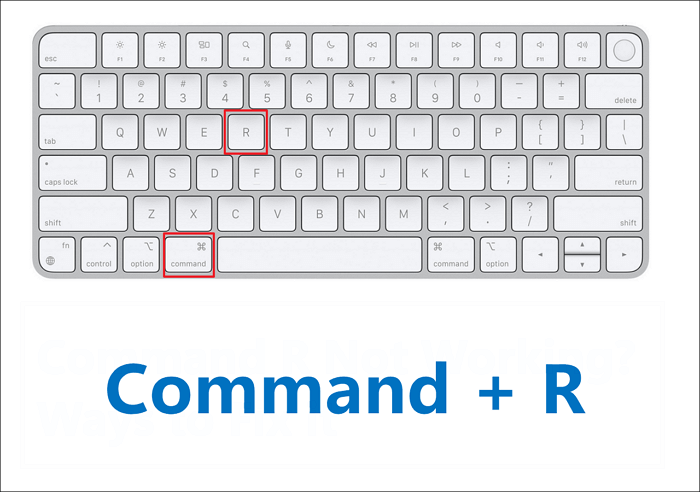 hold the command and r button together