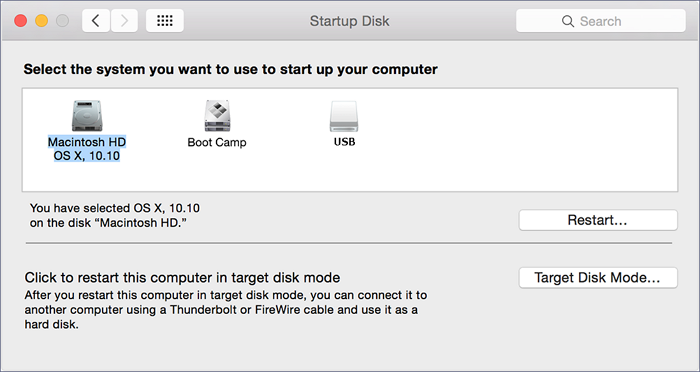 choose USB as startup disk