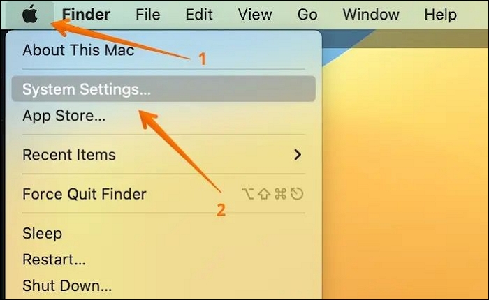 Open System Settings in macOS