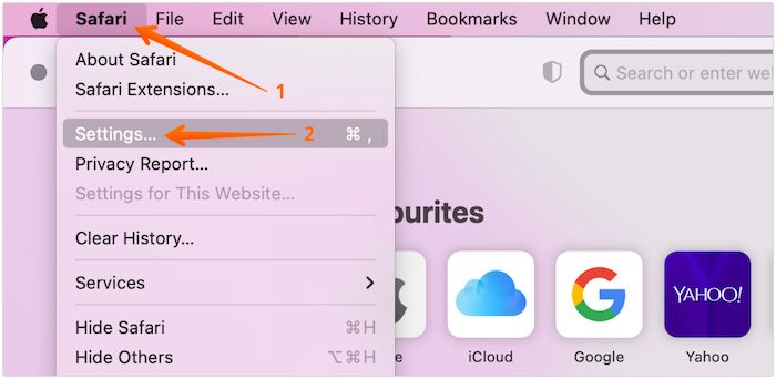 Open Safari Settings in Macngs on Mac