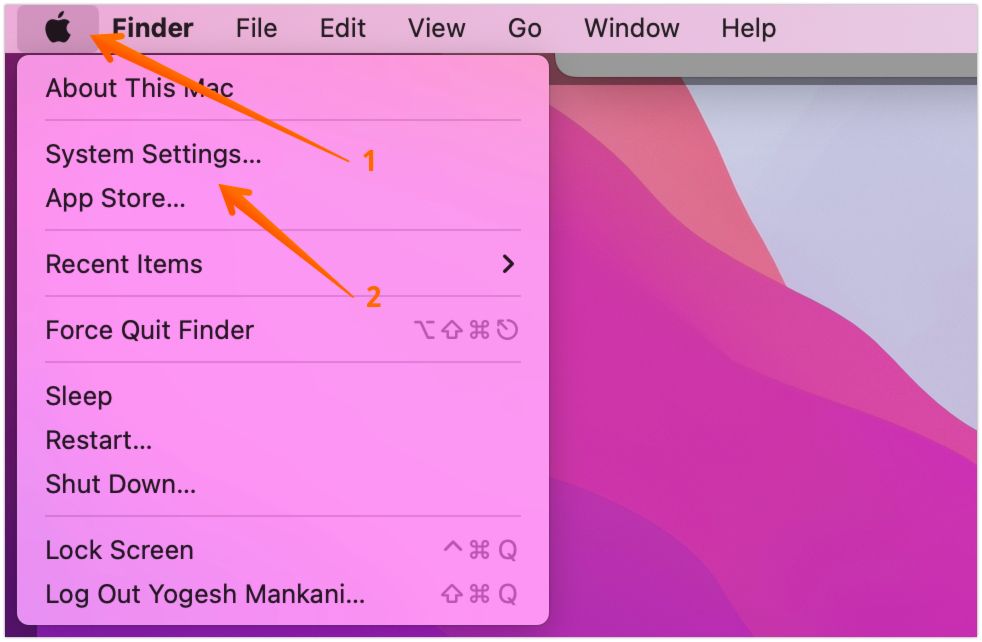 Open System Settings in MacOS