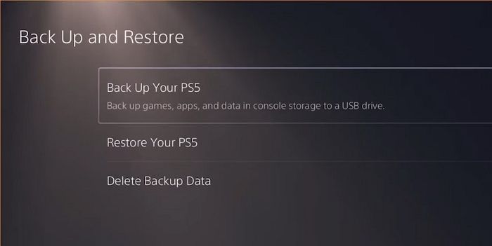 backup your PS5