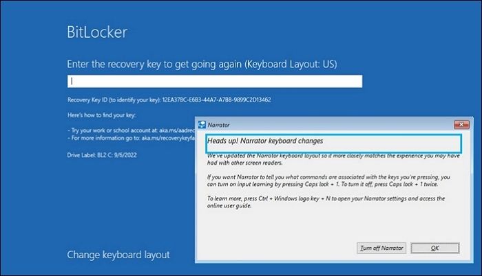 Enter BitLocker Recovery Key