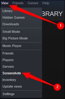 steam screenshots option