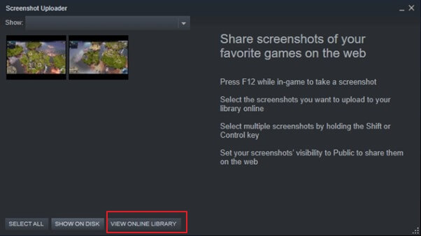 view steam screenshots online