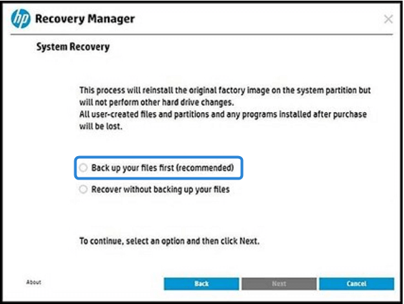 Select the type of recovery you want