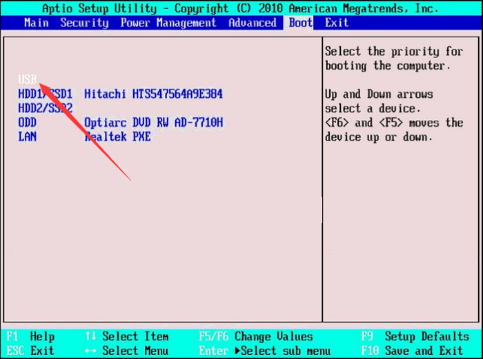 choose the usb as the boot drive