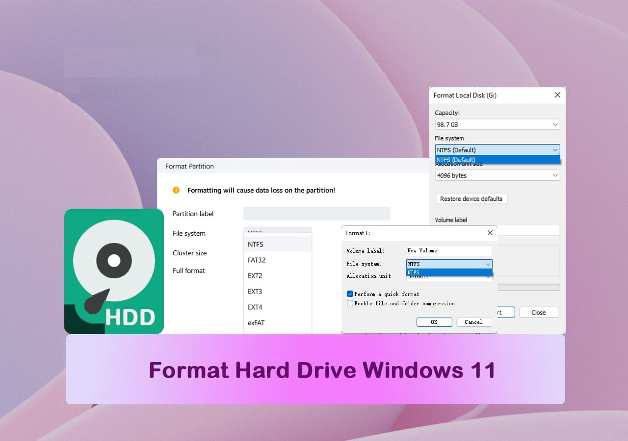 Format hard drive Windows 11 theme