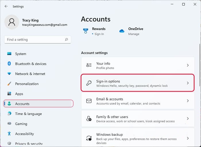 Open Windows Pin settings