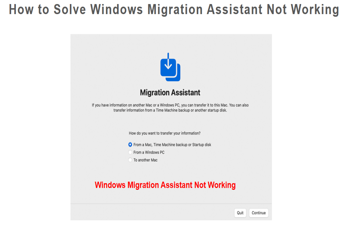 windows migration assistant not working