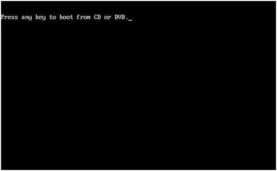 reboot from the DVD and press any key