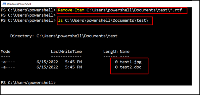 delete a file path with remove item