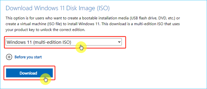 select Windows 11 (multi-edition ISO) 