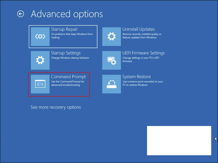 advanced options command prompt