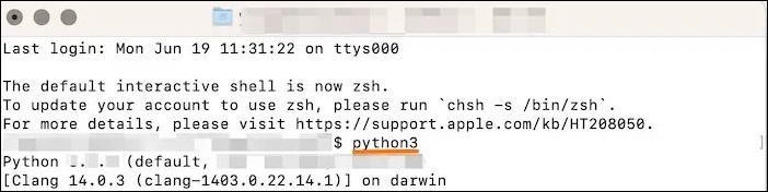 Check Python Version