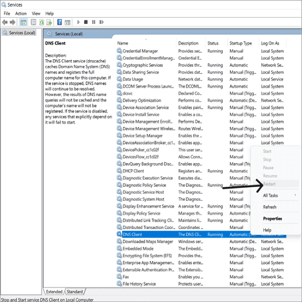 dns client