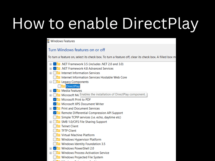 enable directplay