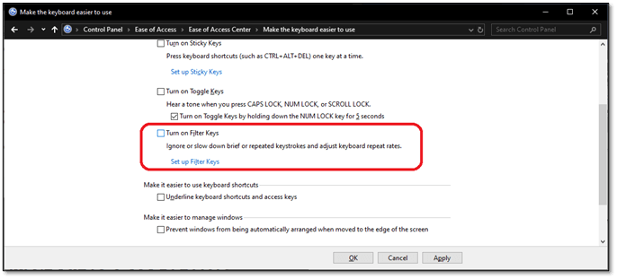 Turn on Filter Keys option