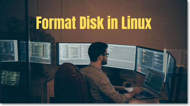 linux format disk guide
