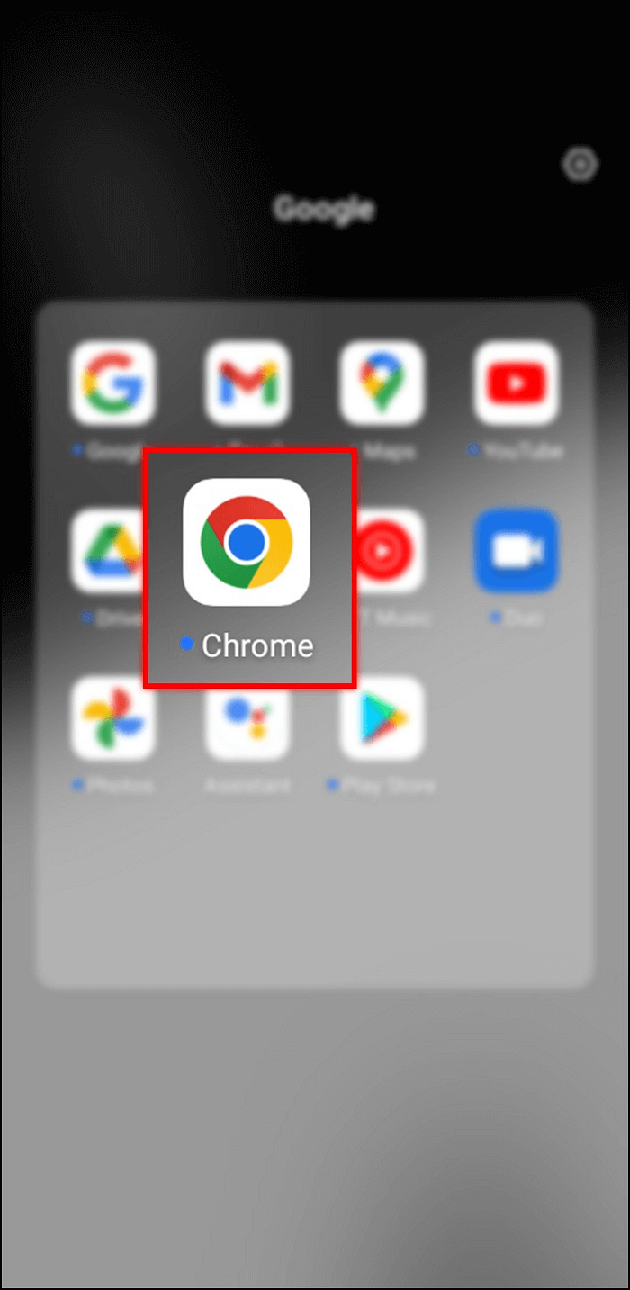 Open the Chrome browser