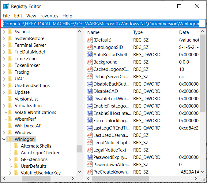 paste and access the winlogon address