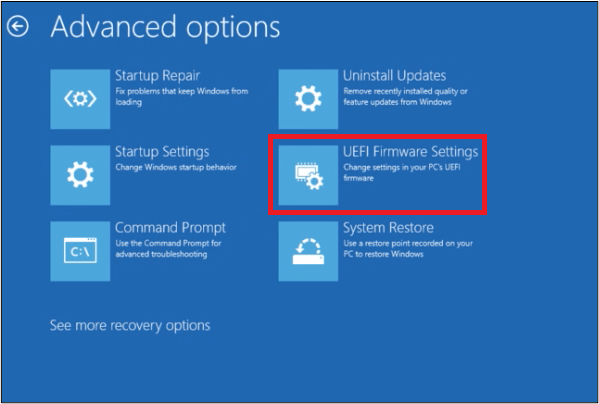 advanced options and click restart" 