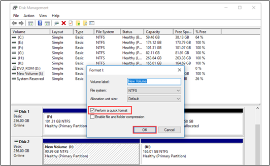 format dialog box disk management