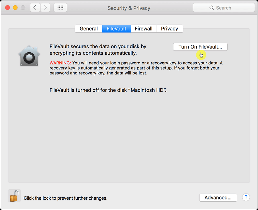 Turn on FileVault