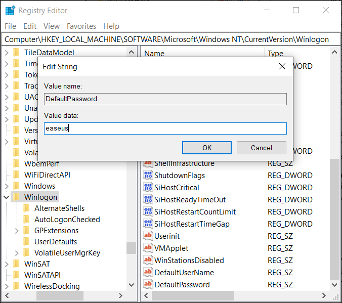 type your windows system password