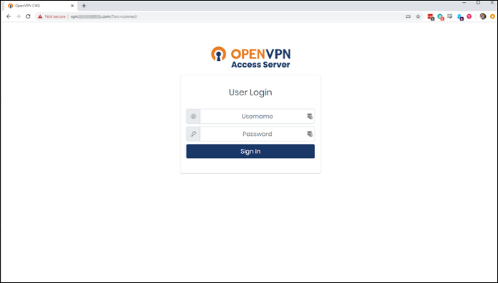 open the vpn server