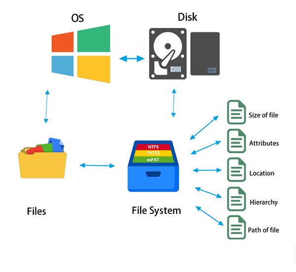 File System And Operating System