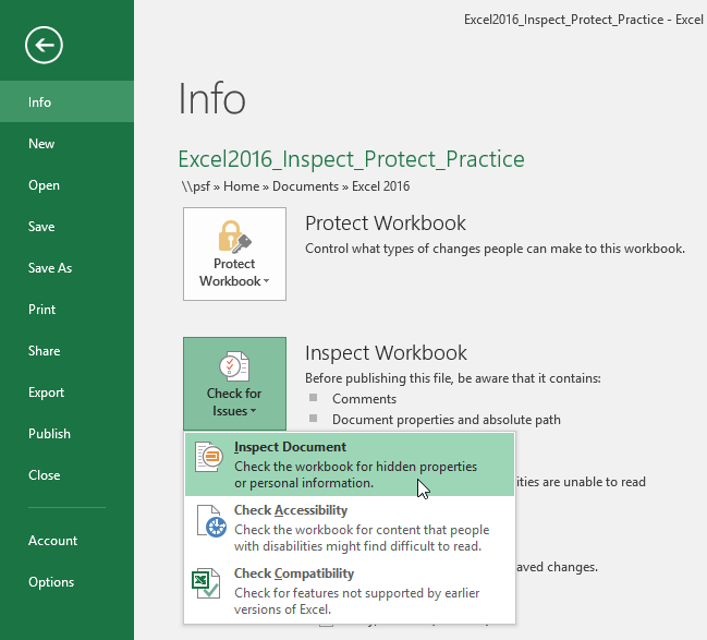 inspect workbook tool